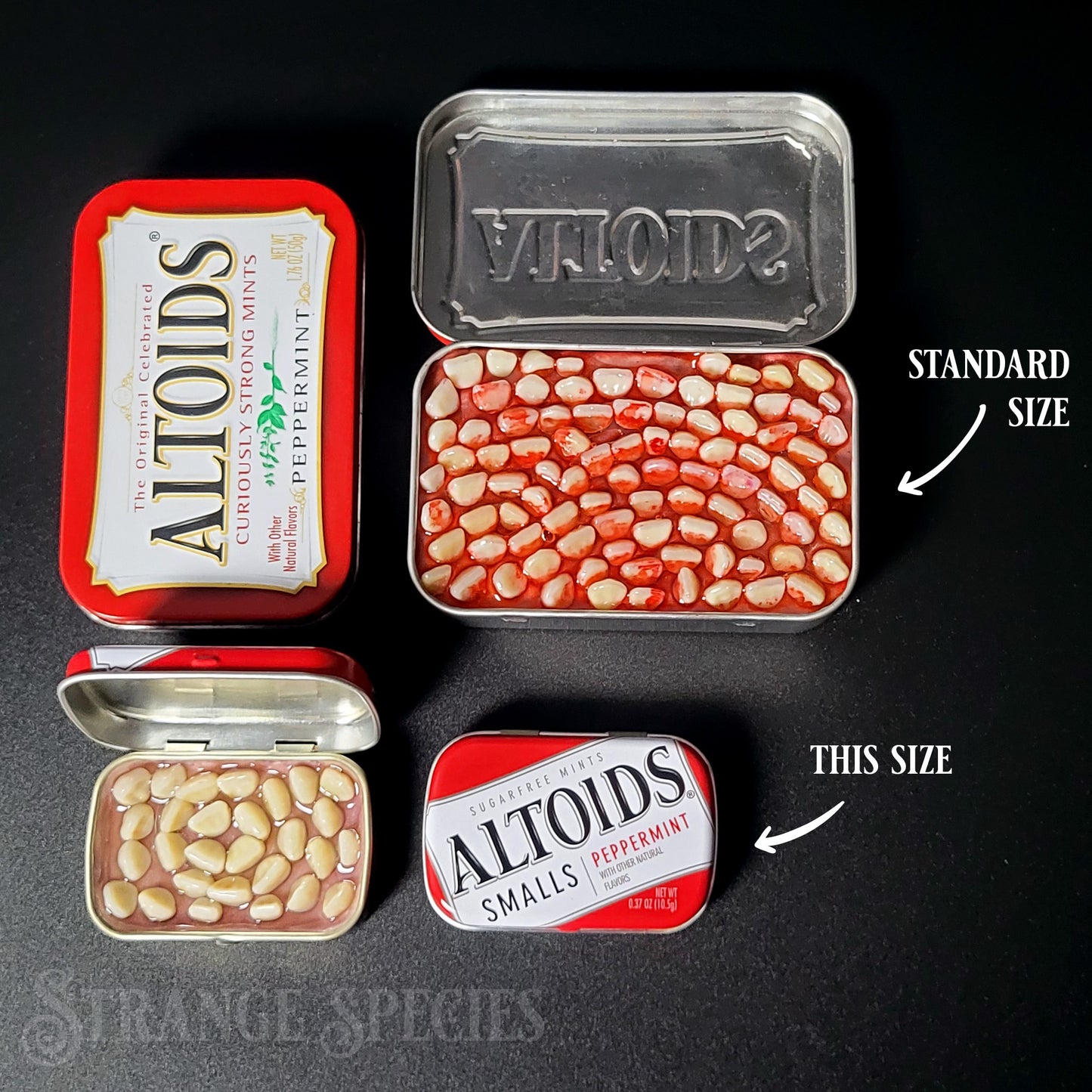 (Tiny) Tins Full of Teeth