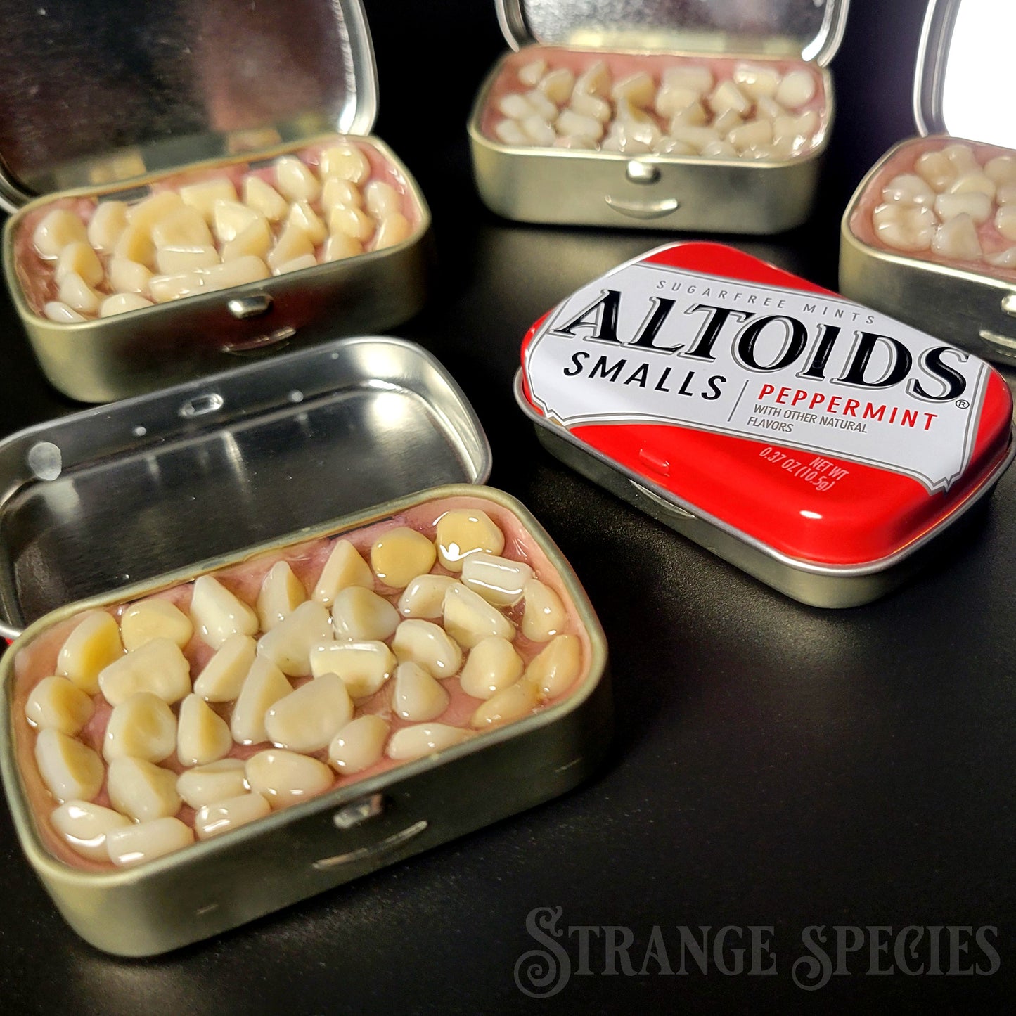 (Tiny) Tins Full of Teeth