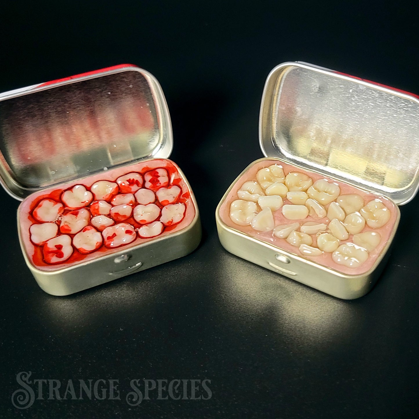 (Tiny) Tins Full of Teeth