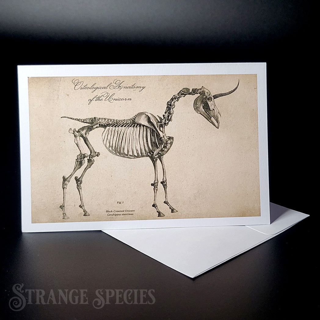 Vintage Unicorn Anatomy Greeting Card