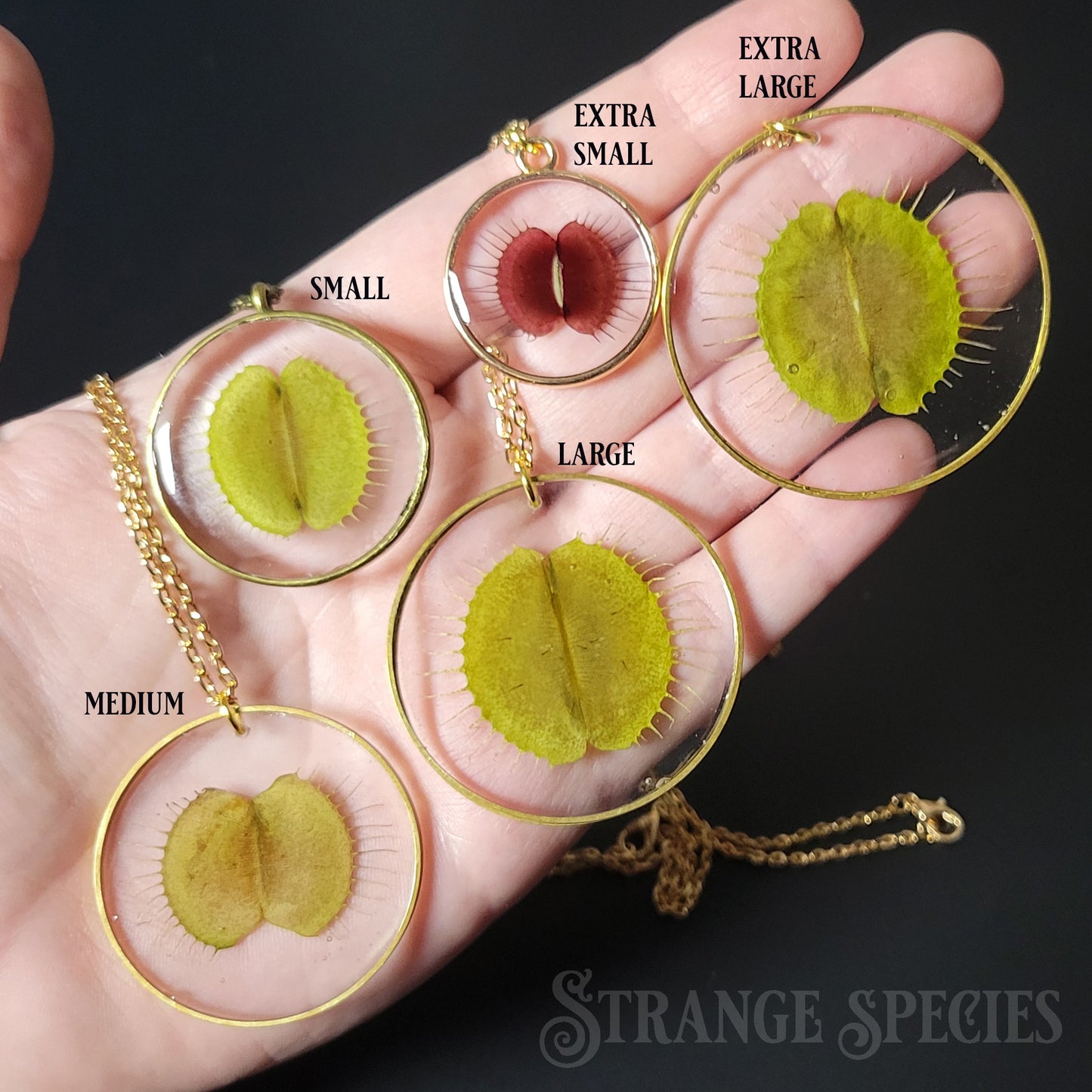 Deadly Botany Preserved Venus Flytrap Necklace