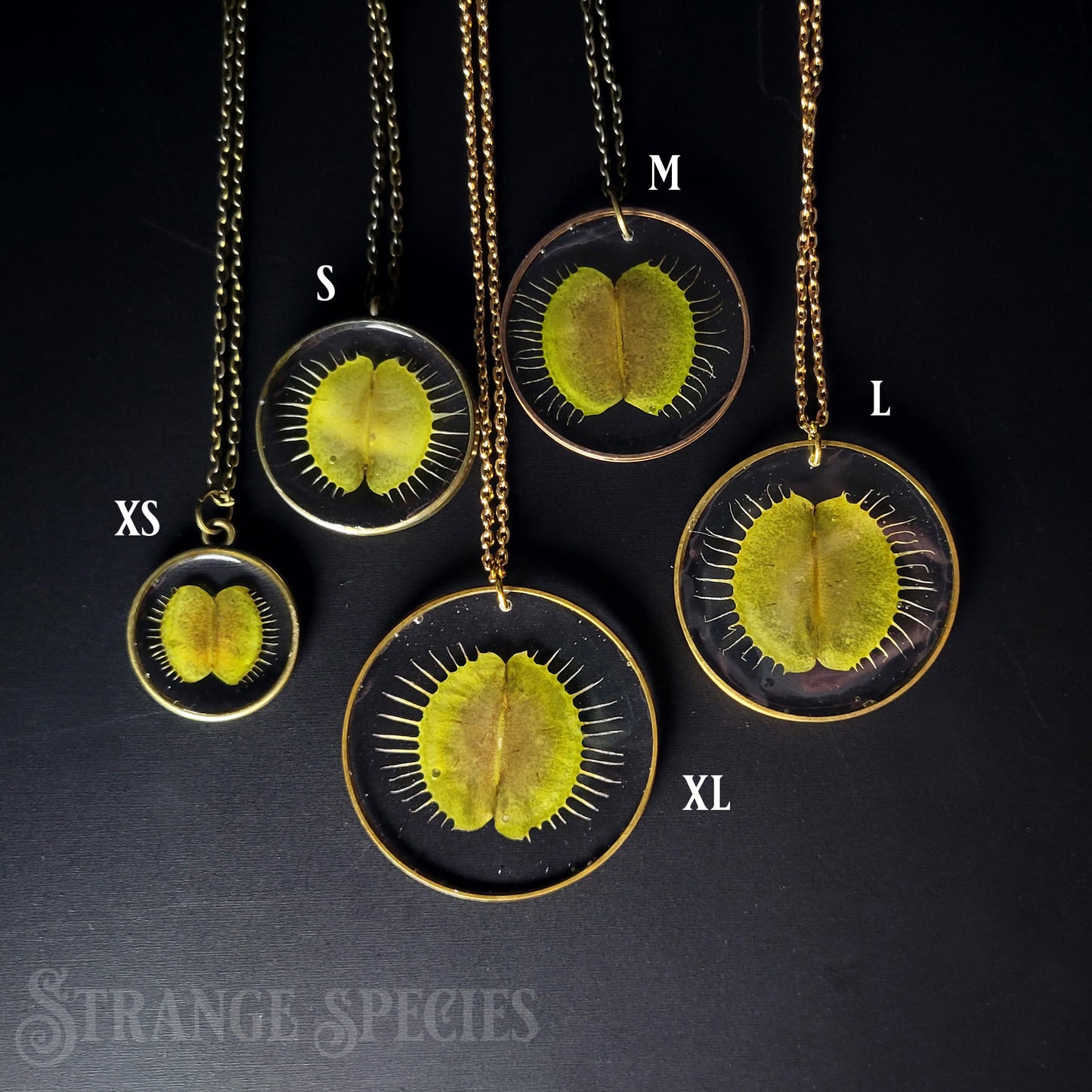 Deadly Botany Preserved Venus Flytrap Necklace