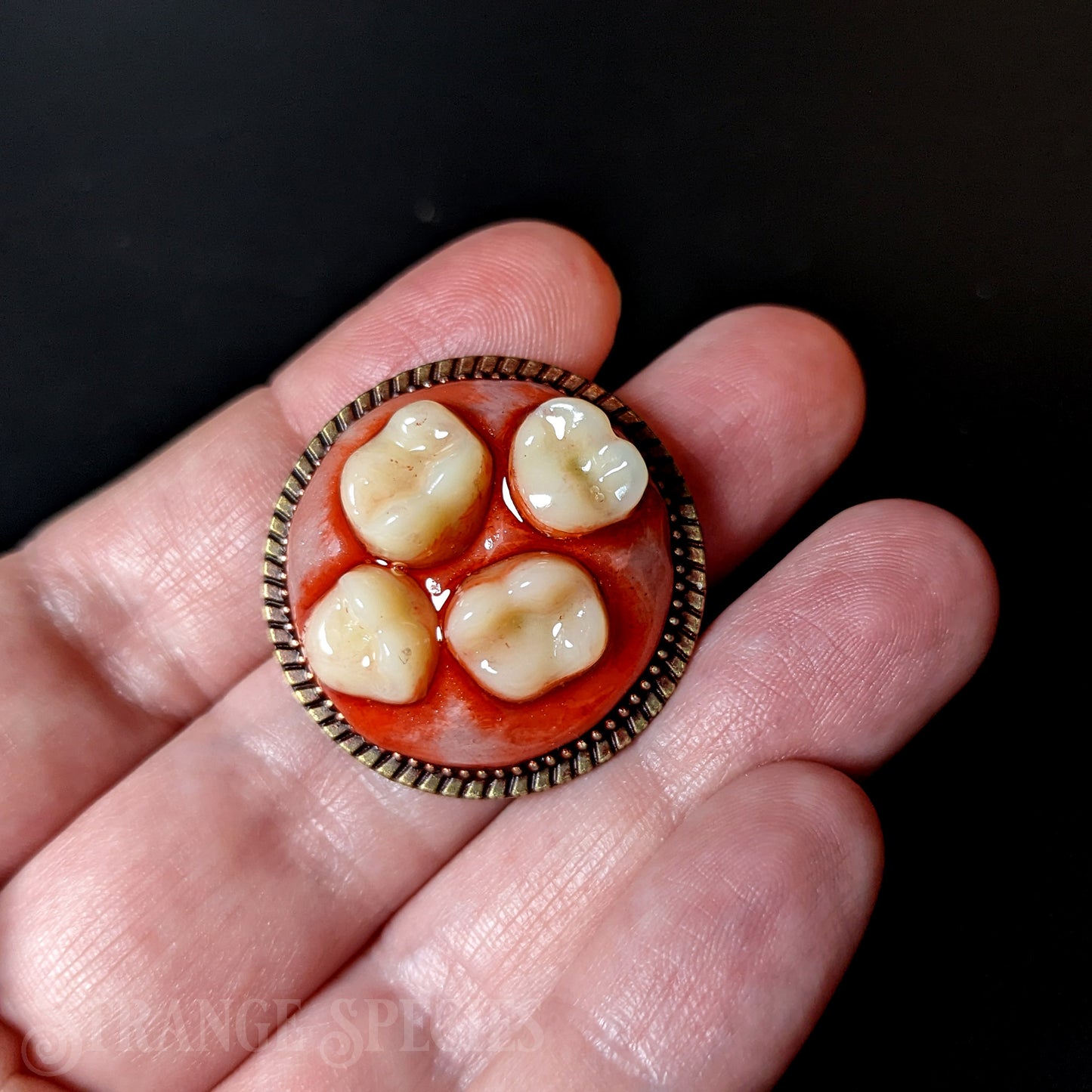 Bloody-Toothed Round Brooch