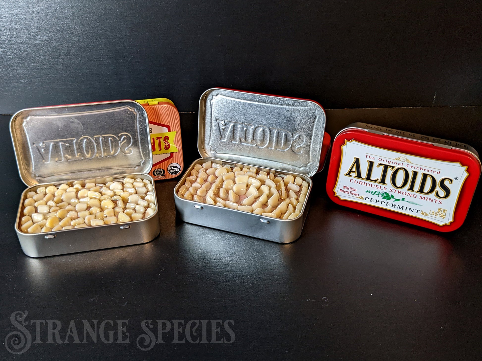 Altoids mints sized tin